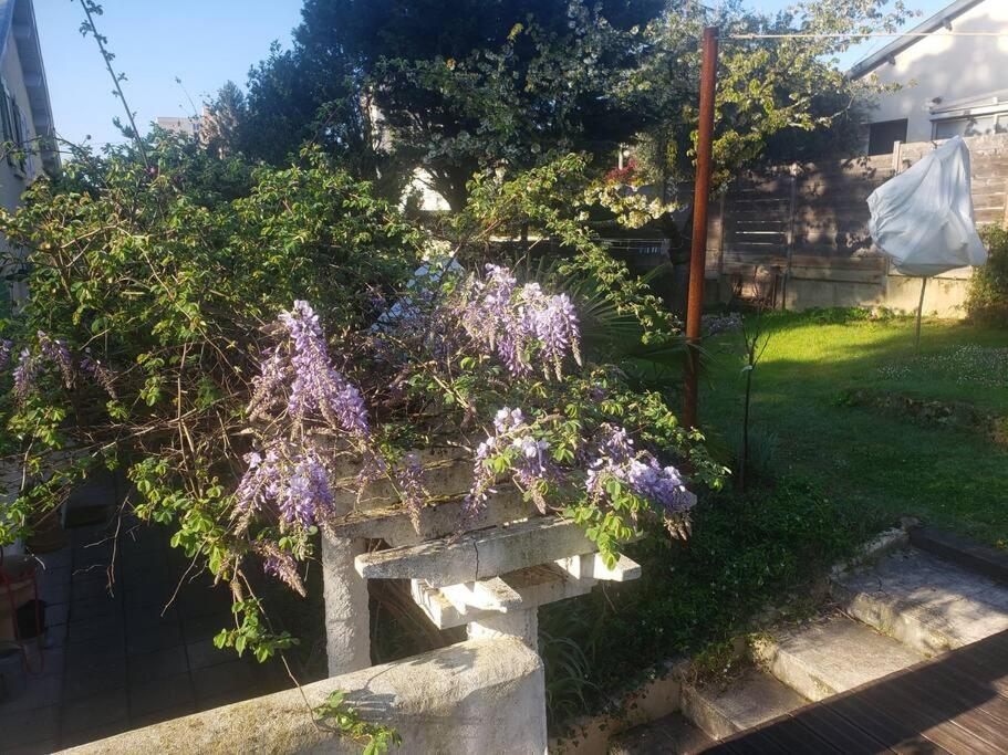 Studio Buena Vista Avec Terrasse Sur Jardin Брон Екстериор снимка